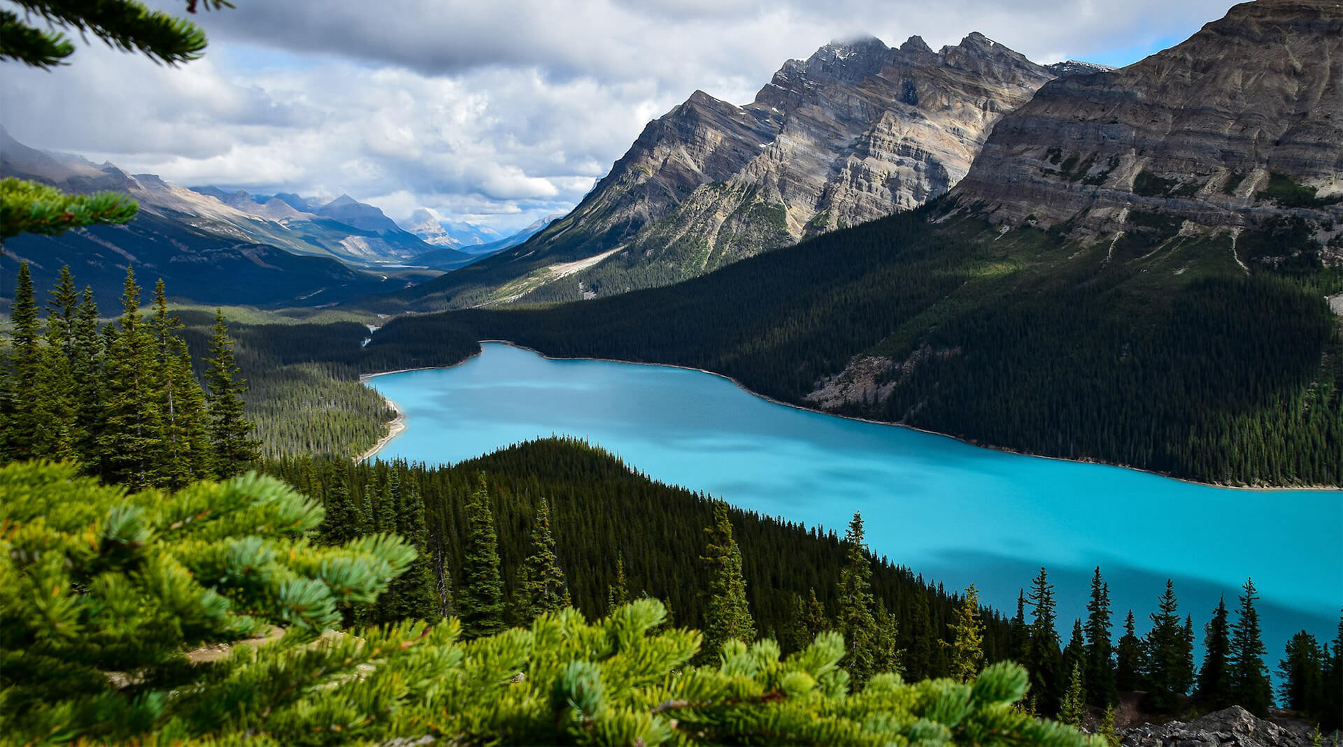 Contact Clean Slate Innovations